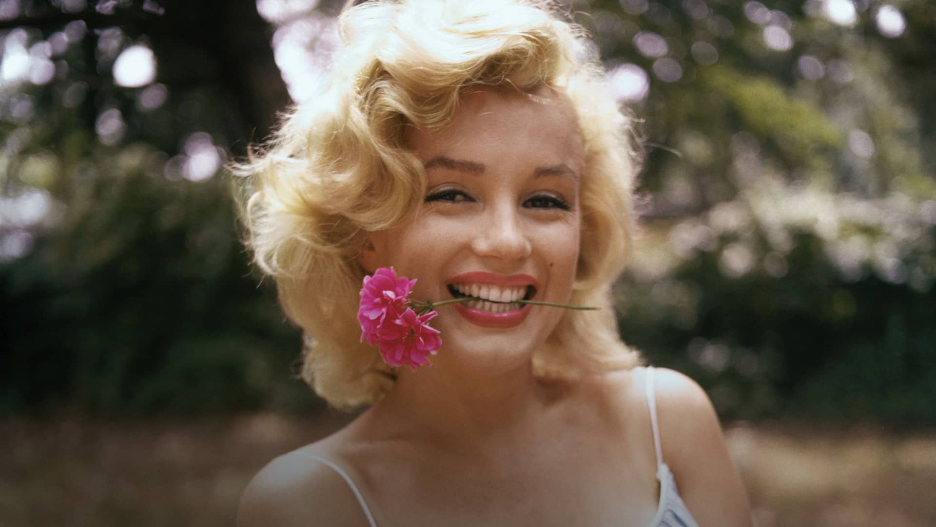 Marilyn Monroe: Hollywood Icon
