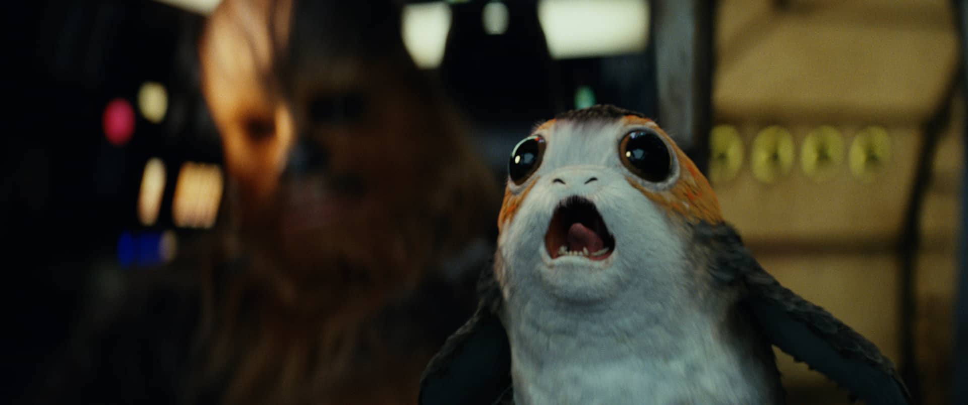 Porg from Star Wars: The Last Jedi (USA, 2017)